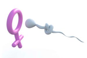 Infertility in men is a common challenge in relationships