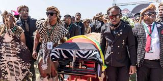 Buthelezi burial 